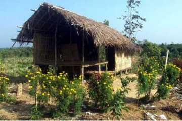 অস্তিত্ব হারাচ্ছে পাহাড়ি ছন